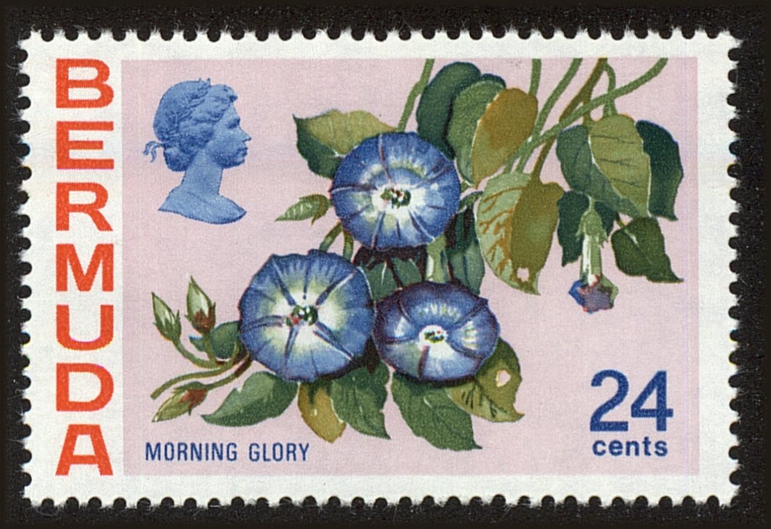 Front view of Bermuda 266 collectors stamp