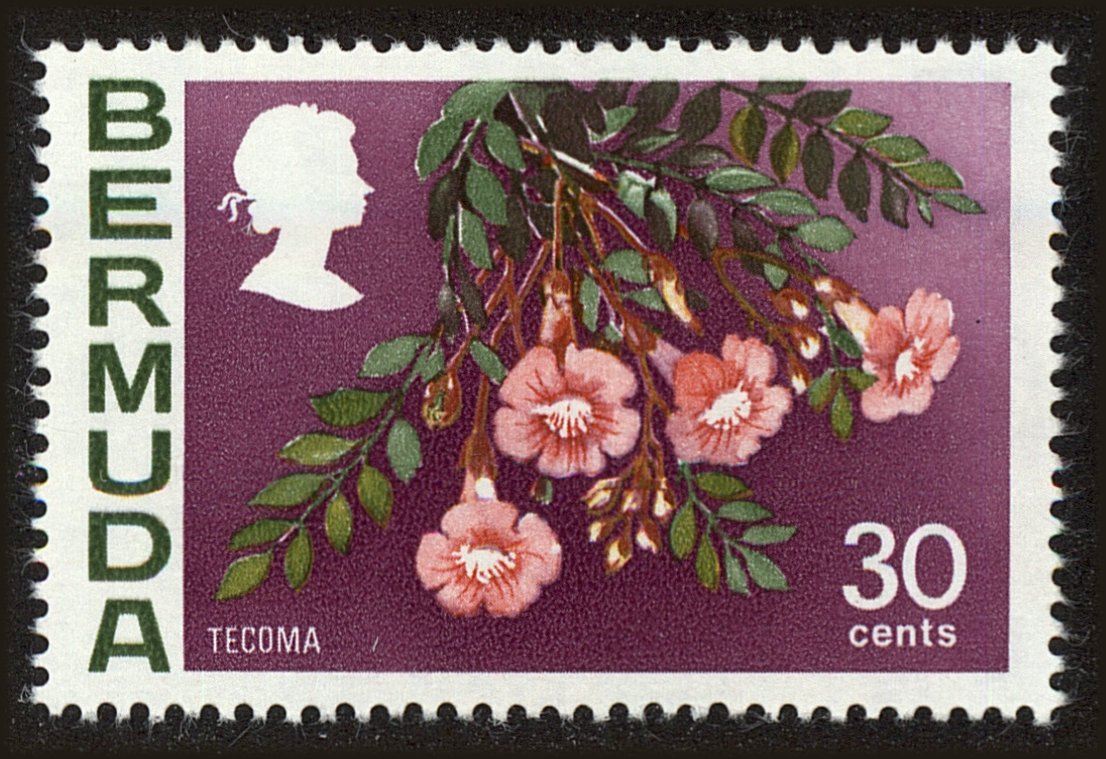 Front view of Bermuda 267 collectors stamp