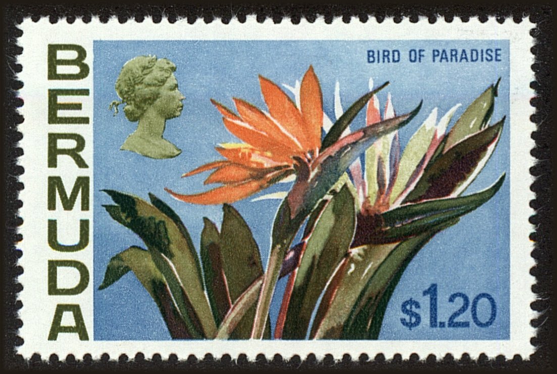 Front view of Bermuda 270 collectors stamp
