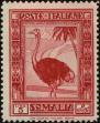 Stamp ID#244901 (2-17-26)