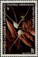 Stamp ID#283342 (2-19-1892)
