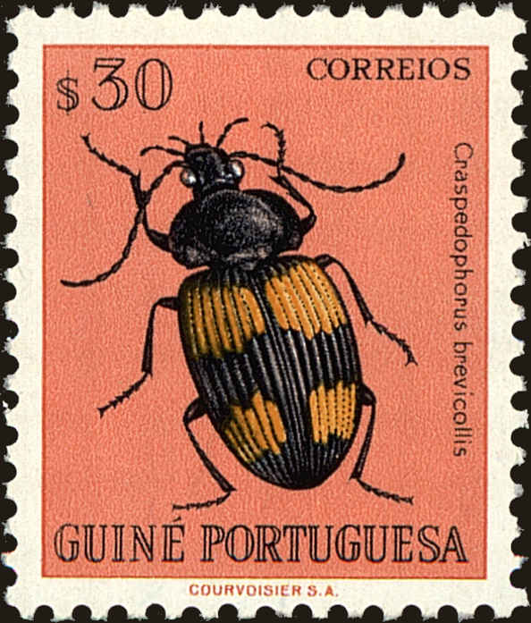 Front view of Portuguese Guinea 283 collectors stamp