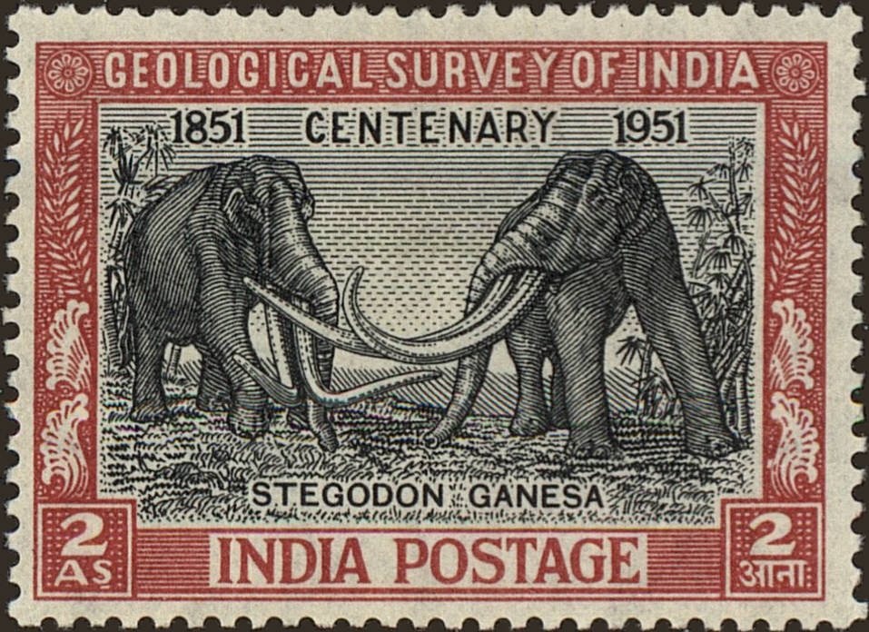 Front view of India 232 collectors stamp
