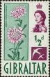 Stamp ID#258777 (7-1-979)